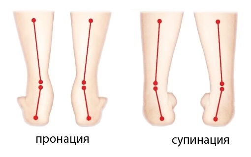 Пронация и супинация